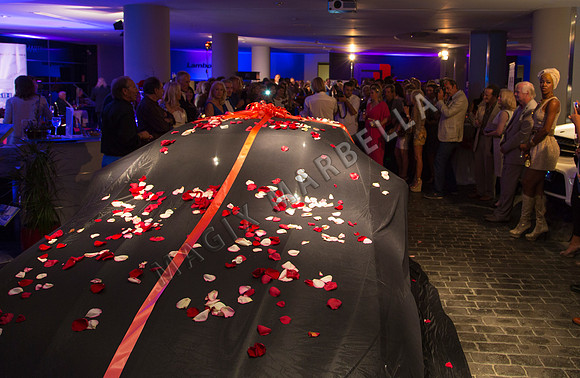 Mercedes S-Coupe Launch Party