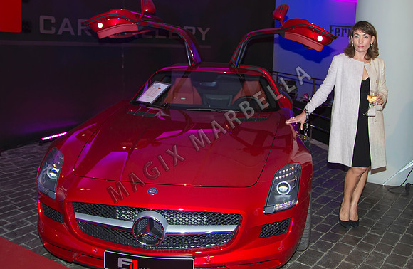 Mercedes S-Coupe Launch Party